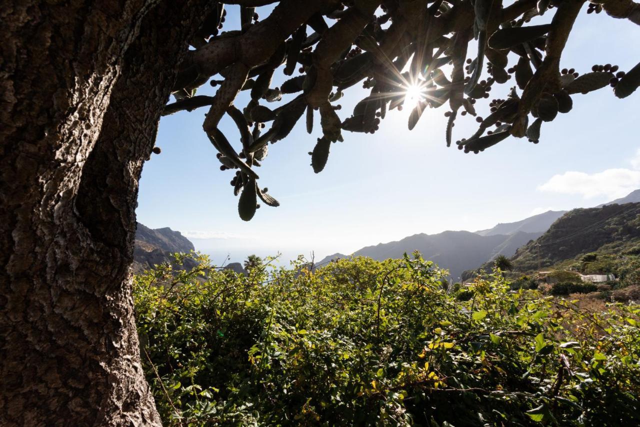 Home2book Nature Carrizales&masca House&wifi Buenavista Del Norte