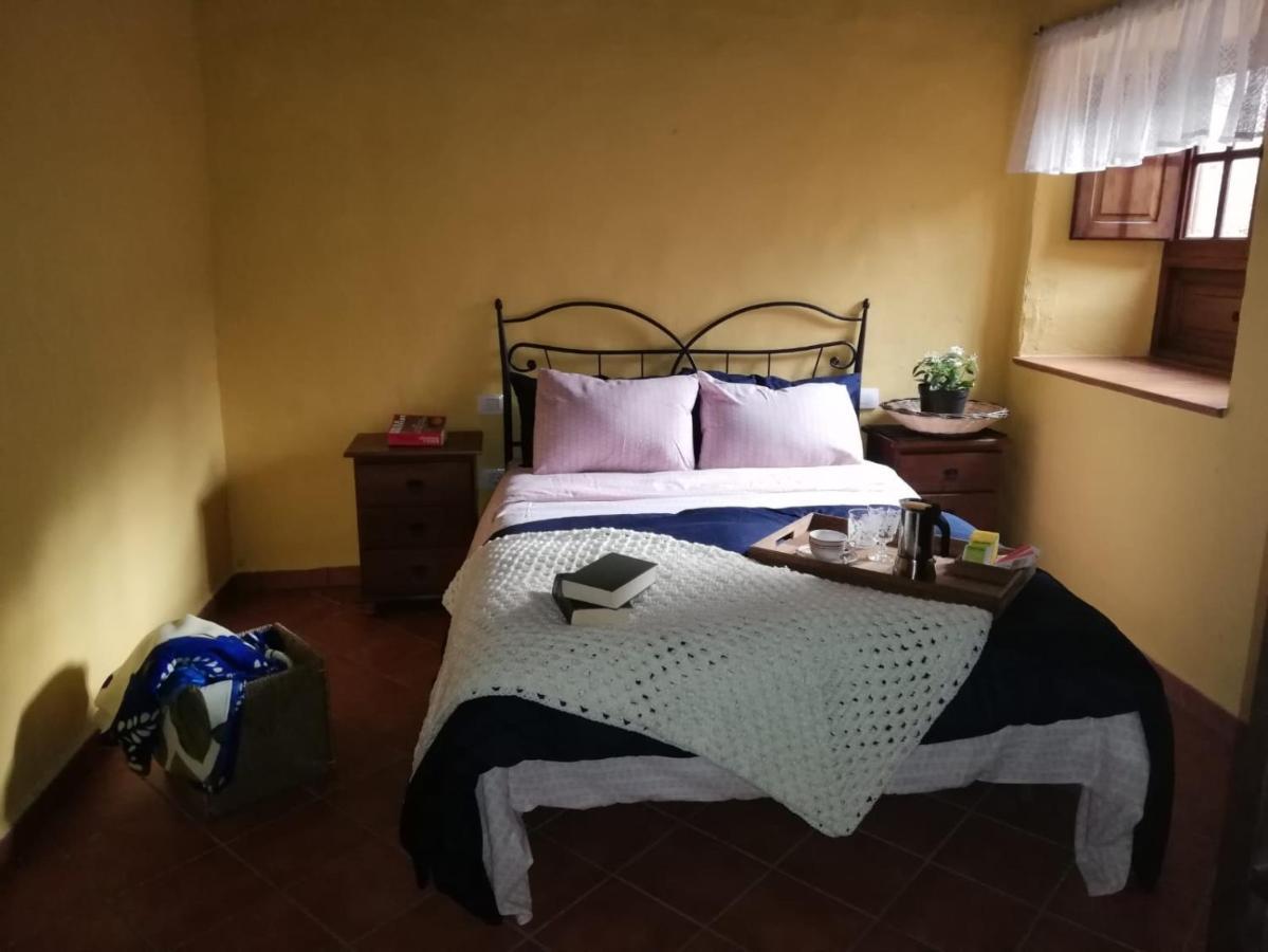 Casa Pura, Pure Nature And Liberty * Buenavista Del Norte