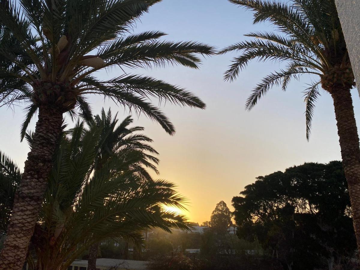 Primavera Tenerife