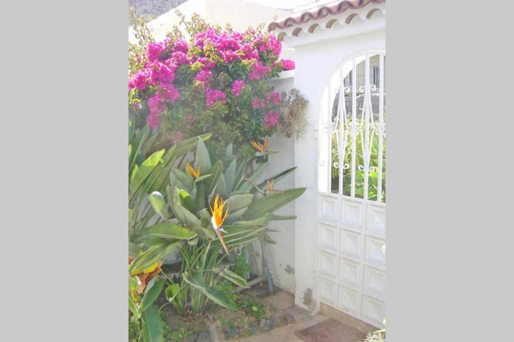 Casa Limona Arona (Tenerife)