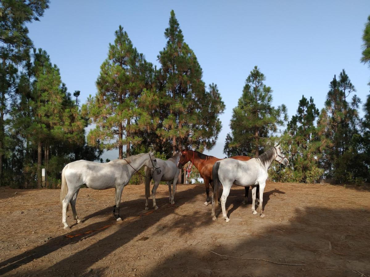 Rural House Tenerife Relax And Enjoy *