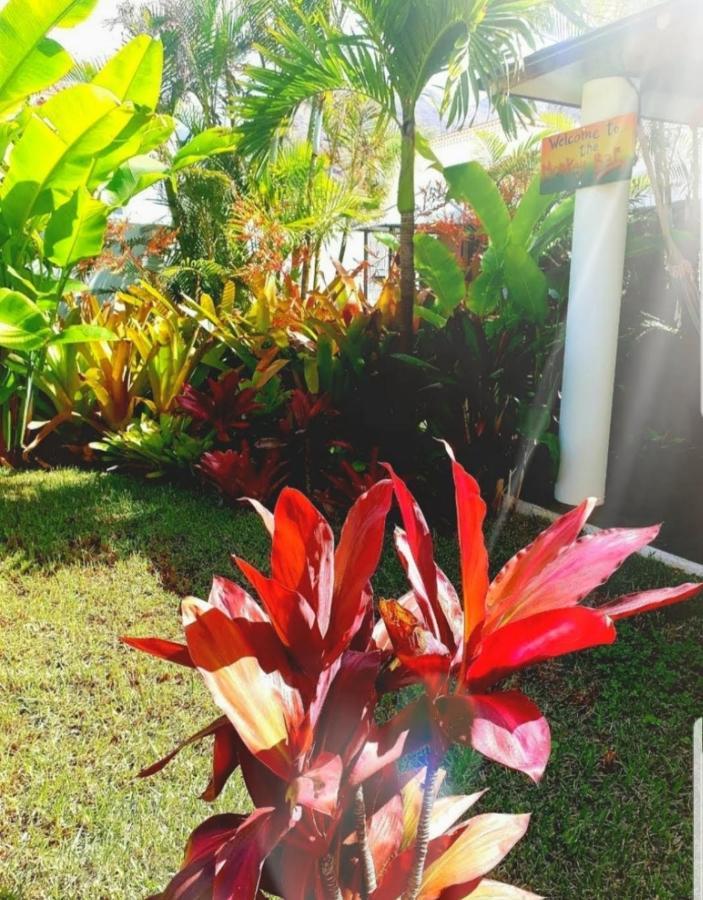 Séjour chez l'habitant La Selvita Bajamar (La Laguna)