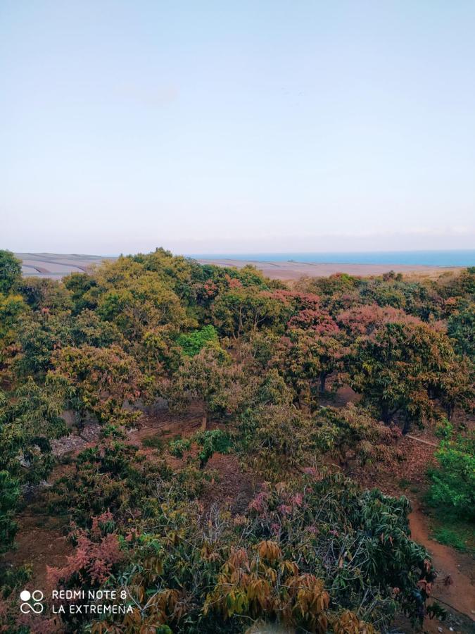 Hacienda La Extremena * Güimar