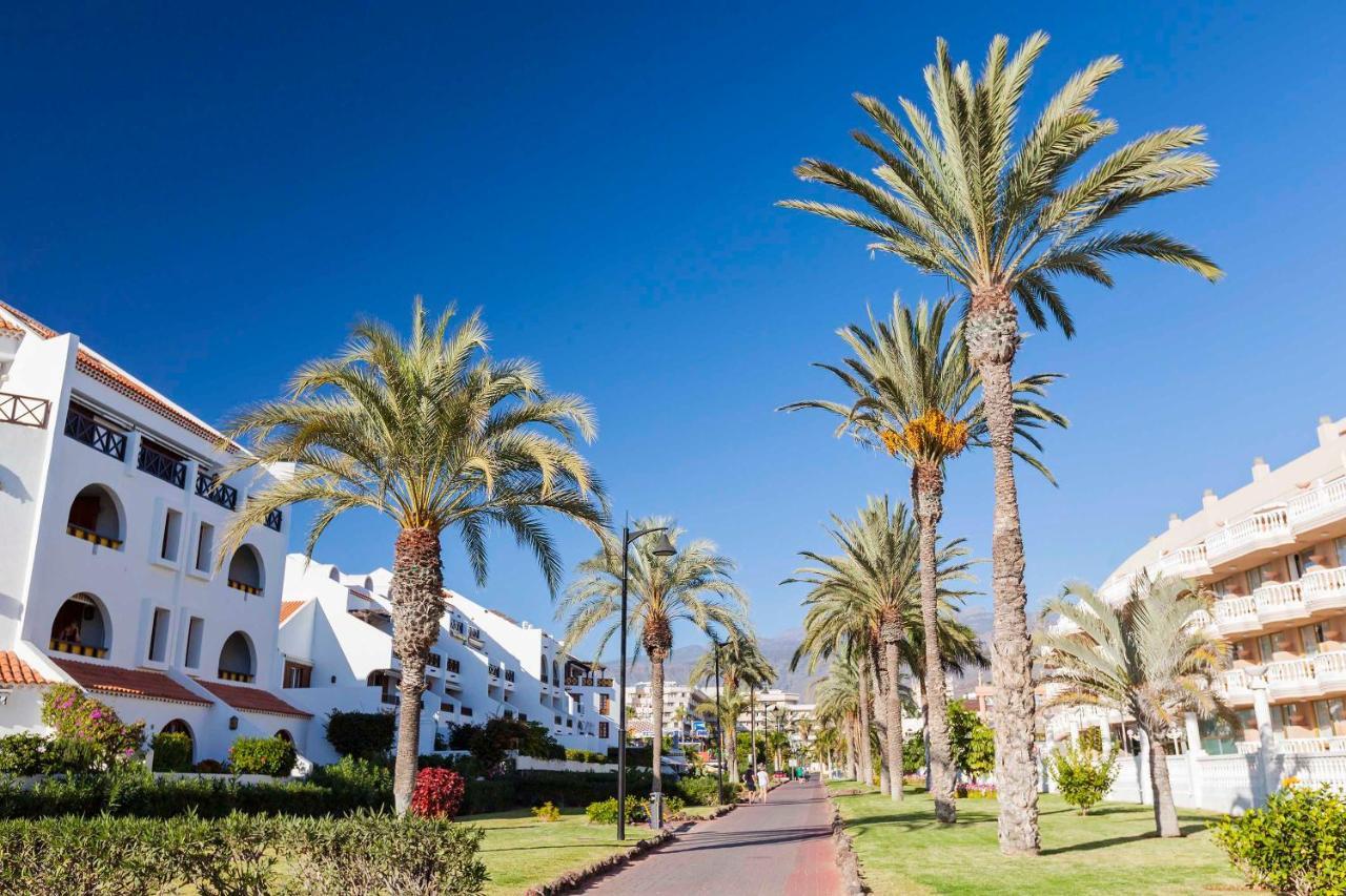 Apartamento Sara En Playa De Americas Arona (Tenerife)
