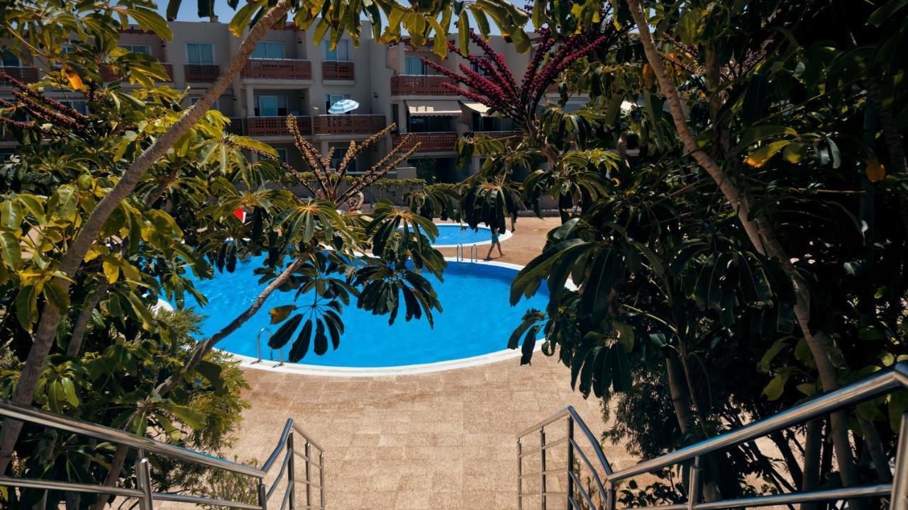 Apartment Okeanos Sea View 1 Bedroom Vr-s Granadilla De Abona