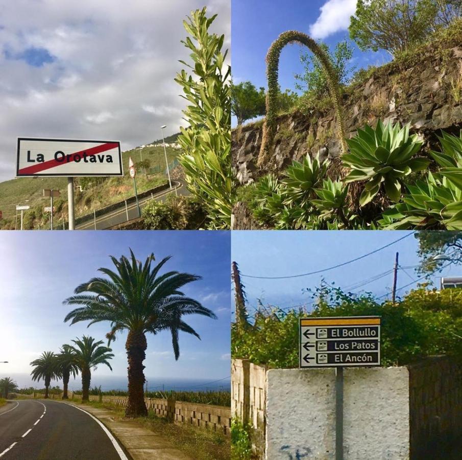 Hébergement de vacances La Favorita La Orotava
