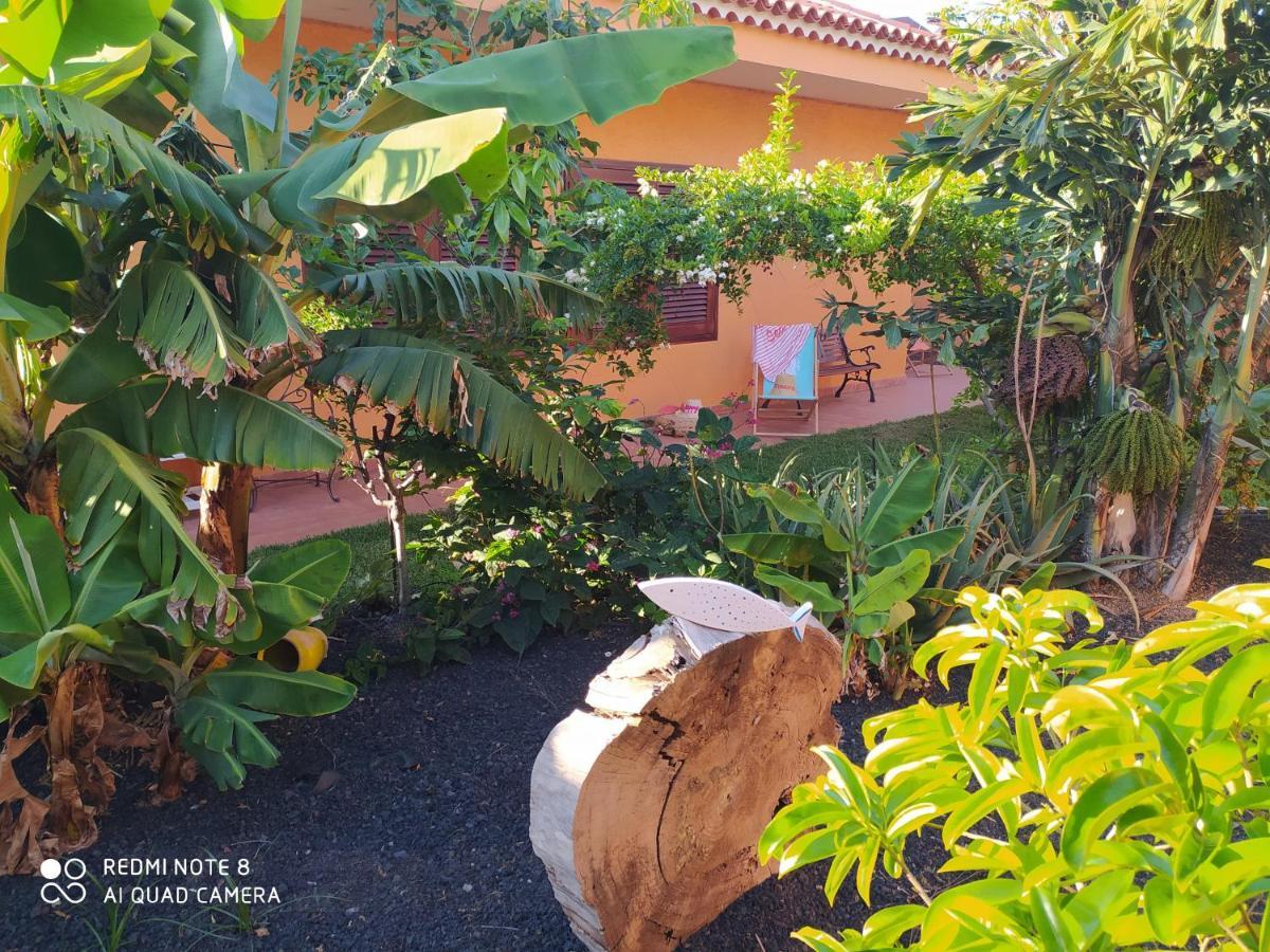 Energy Garden