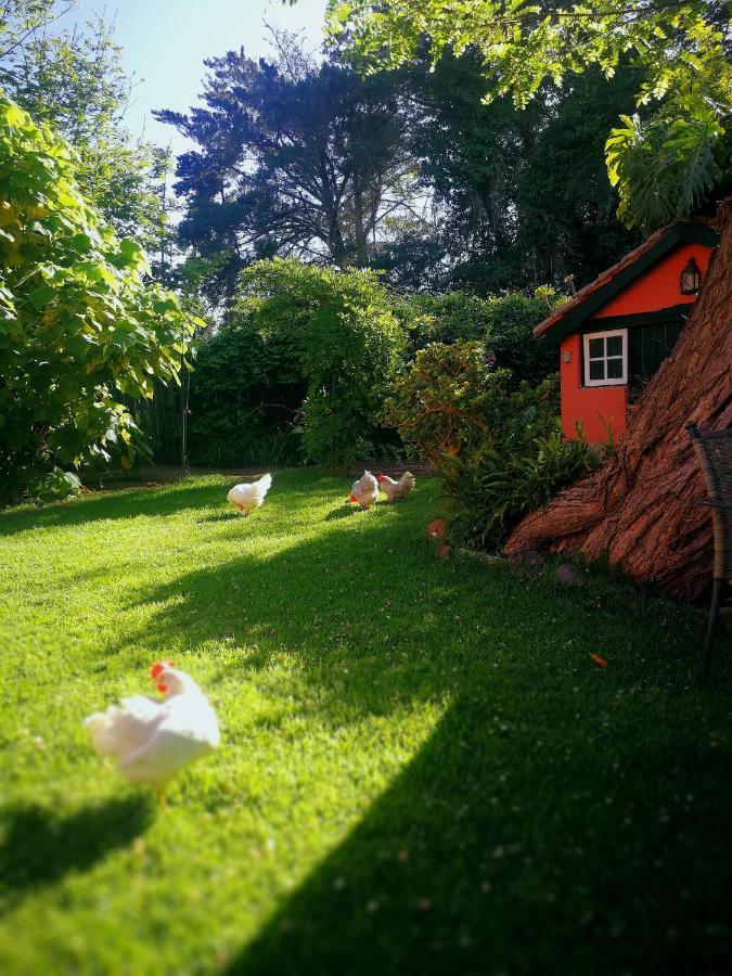 Holiday home Jardines De Hortensia - Vacation Tenerife