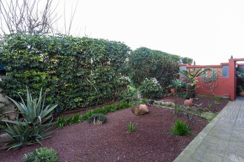 Apartamento La Casa Del Huerto *