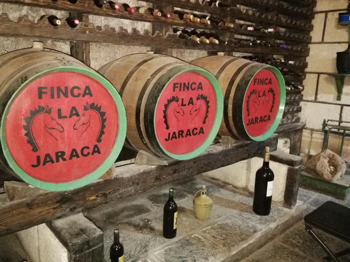 Finca La Jaraca * Tacoronte