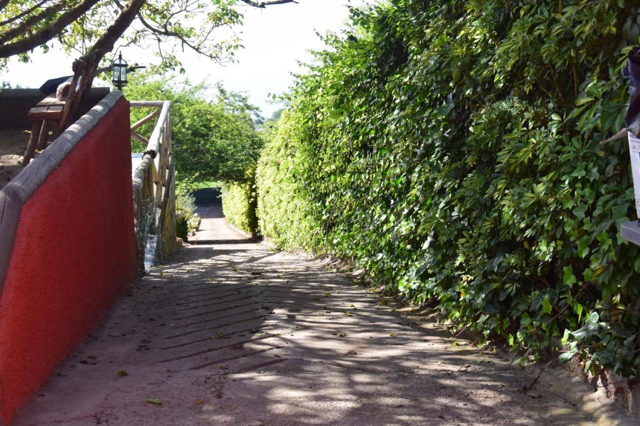 Finca La Jaraca Farm stay