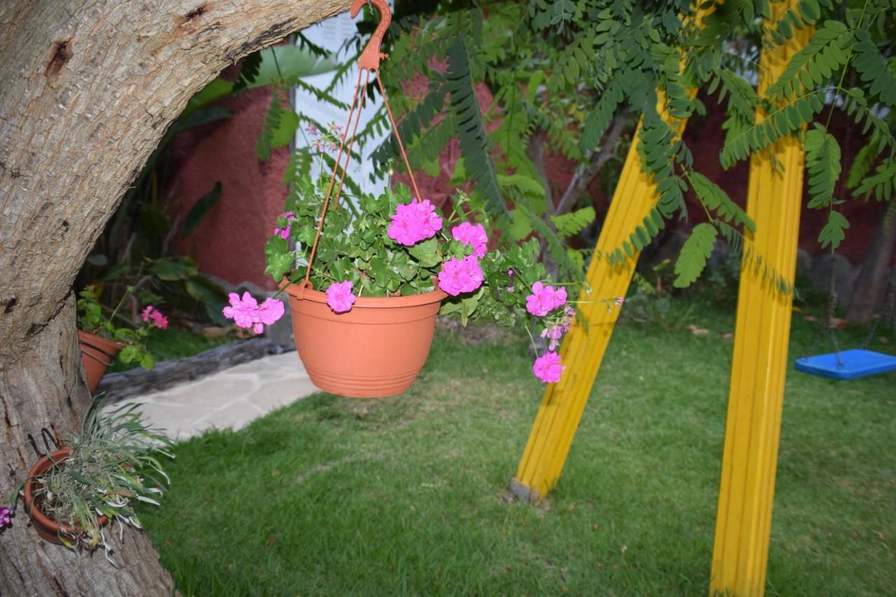 Casa Vg Icod De Los Vinos