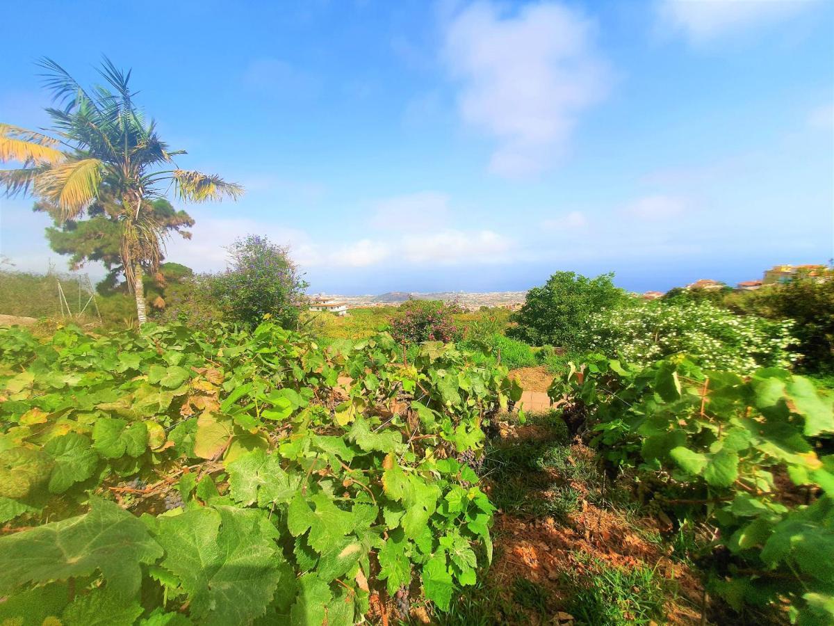 Сasa de vacaciones Casa Eco Rural Rodeada De Naturaleza Y Vistas,wifi La Orotava