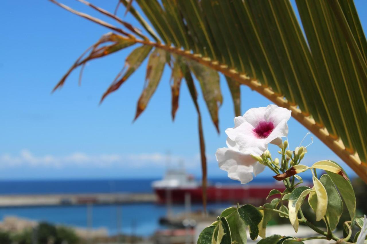 Terraza Del Atlantico, Un Oasis En La Ciudad Apartment Santa Cruz de Tenerife