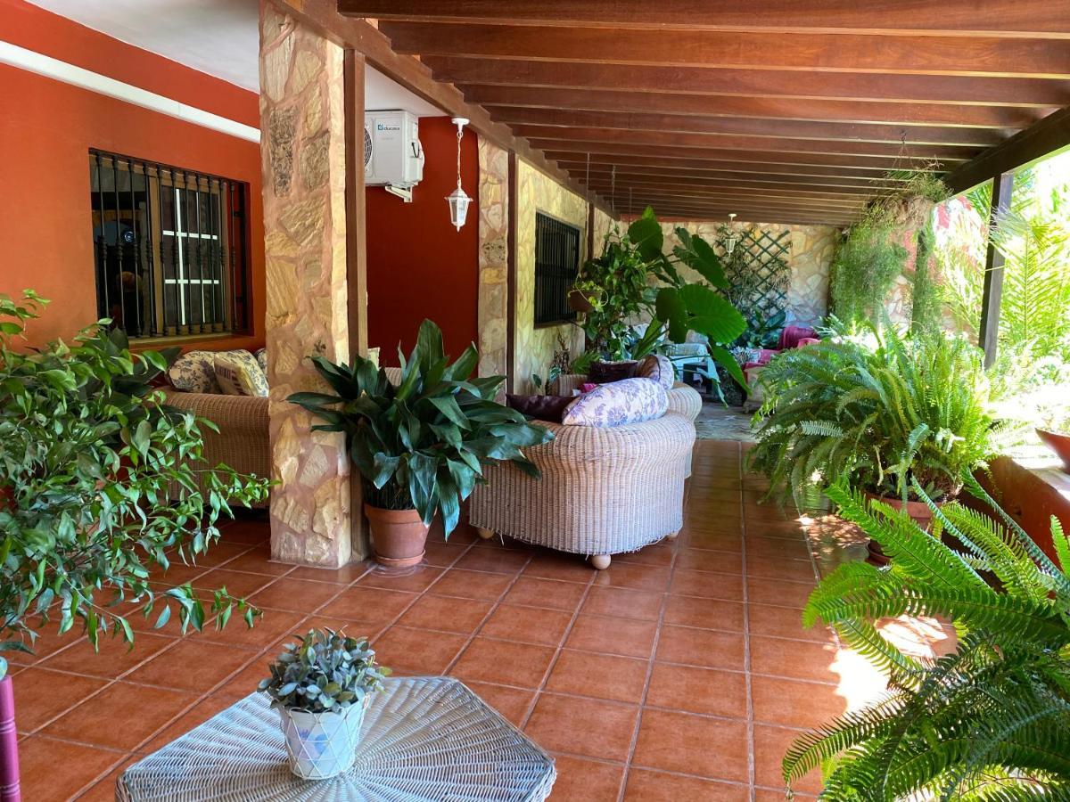 Appartement Casa Lazaro, Tegueste