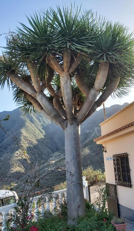 Casa Noni Holiday home Santa Cruz de Tenerife