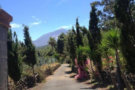 Villa Rural Faldas Del Teide