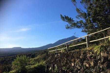 Rural Faldas Del Teide Villa *