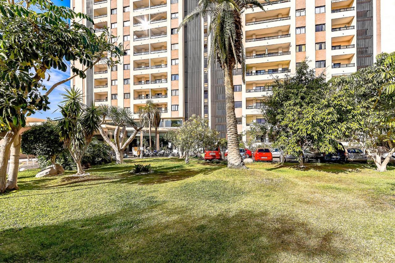 Apartment South Paradise Costa Adeje (Tenerife)