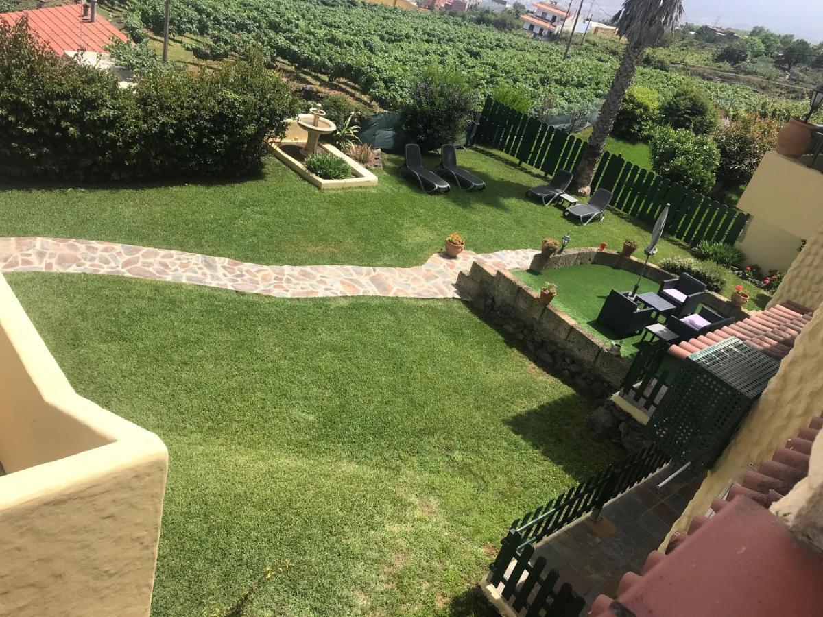 Casitas Uvas Y Vinas * Los Realejos