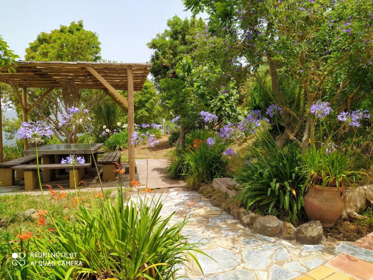 Casa La Jara Casa rural