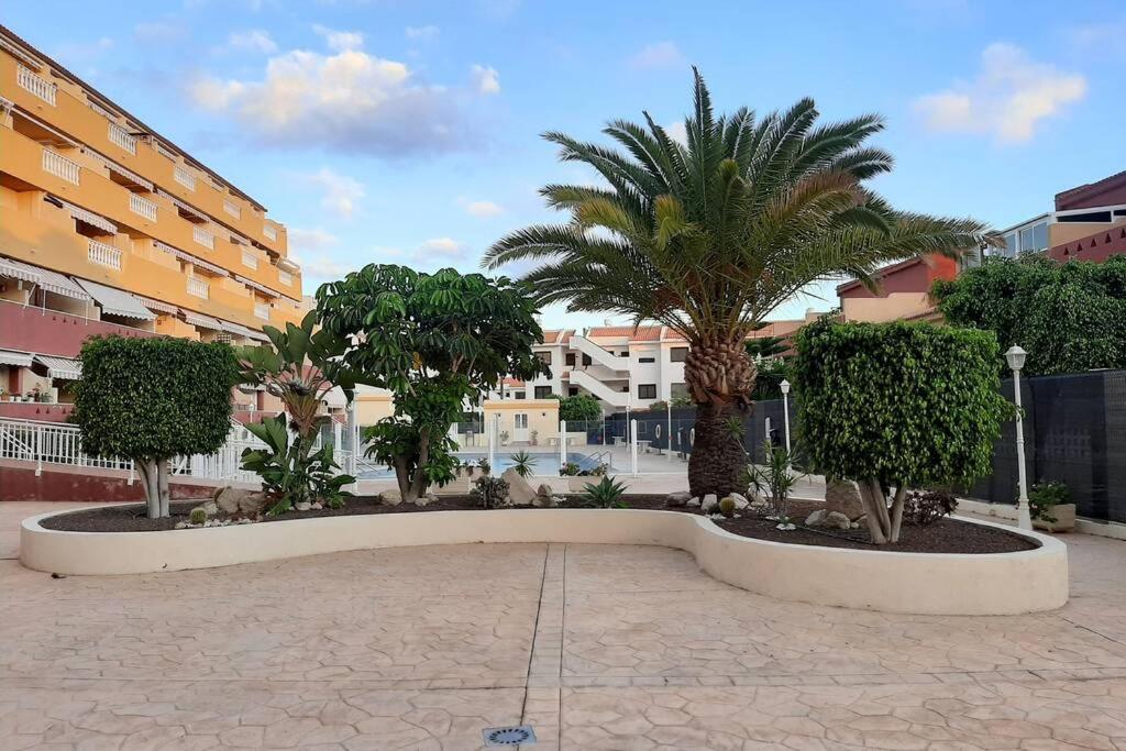 Apartamento Playa Amarilla Apartment,sea,sun And Relax