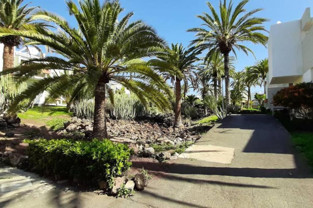 Super Cozy Holiday At South Tenerife