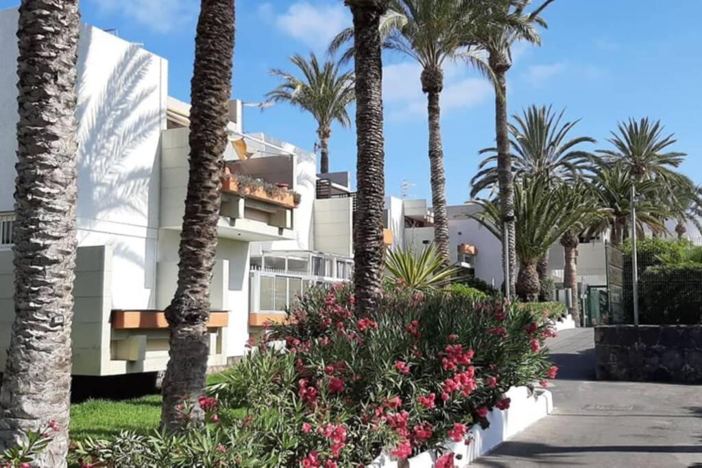 Super Cozy Holiday At South Tenerife * Arona (Tenerife)