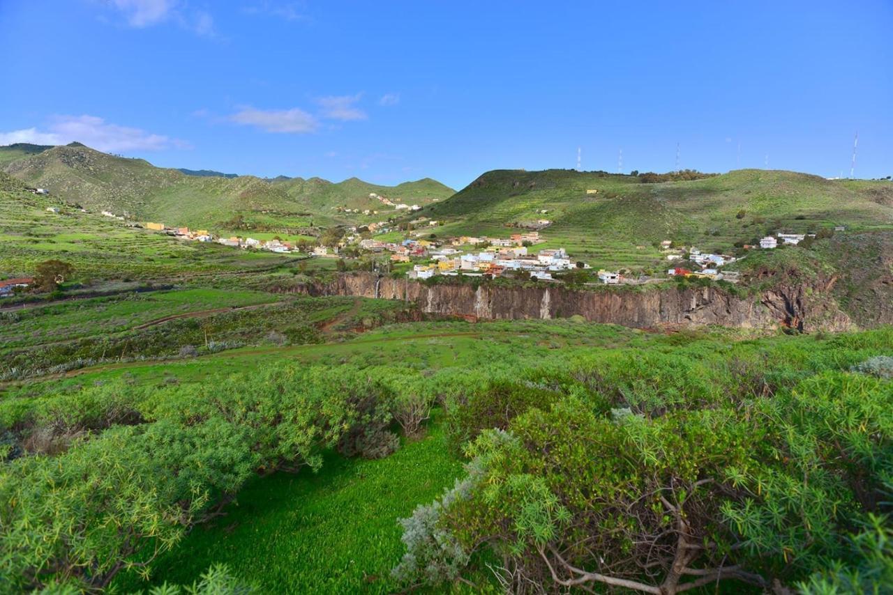 Eco Caves * La Laguna (Tenerife)