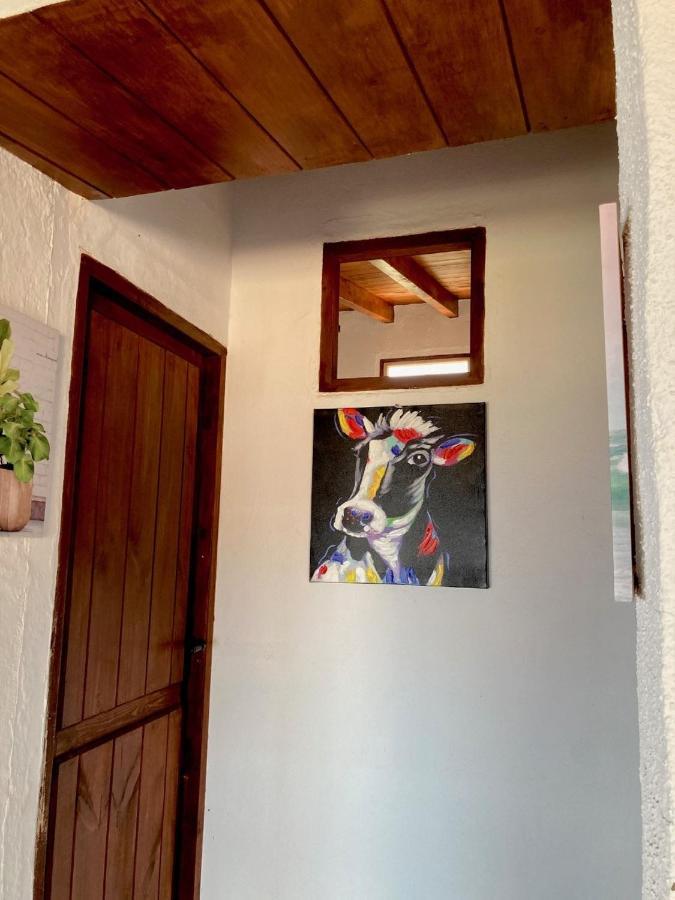 Casa Vistazul *