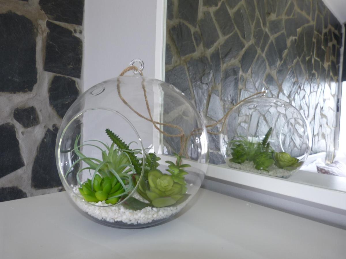 Suncanarias Estudio Drago 34 Apartment *