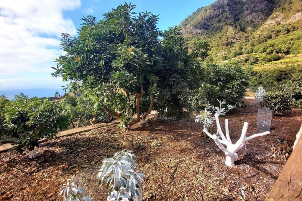 Holiday home La Resbala - Casa Drago *