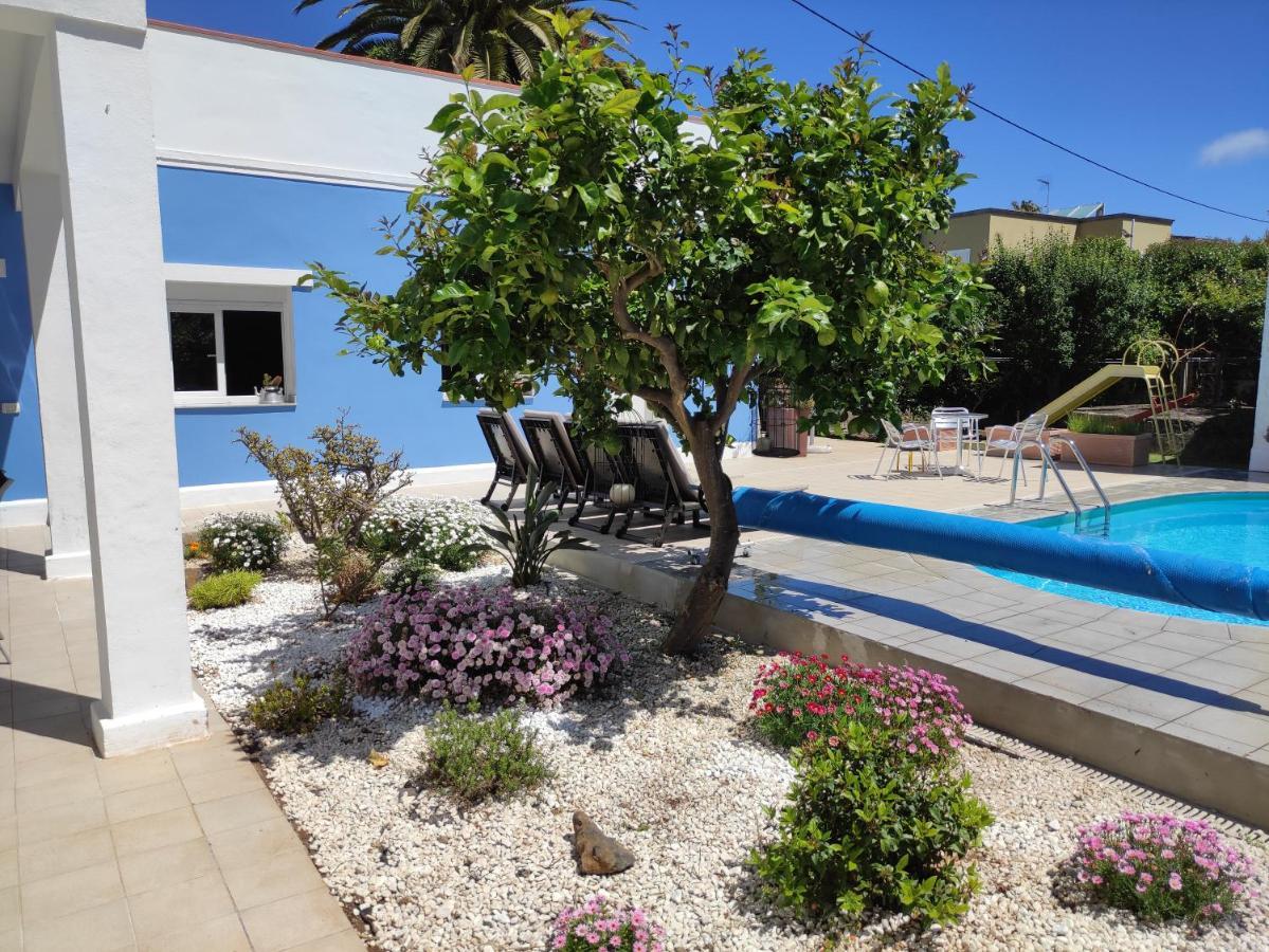San Diego 22 Apartamento La Laguna (Tenerife)