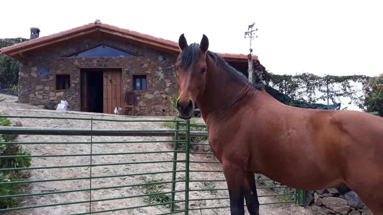 Rural House Tenerife Relax And Enjoy Country house *
