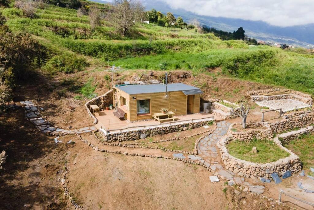 El Pino Centenario 3 *
