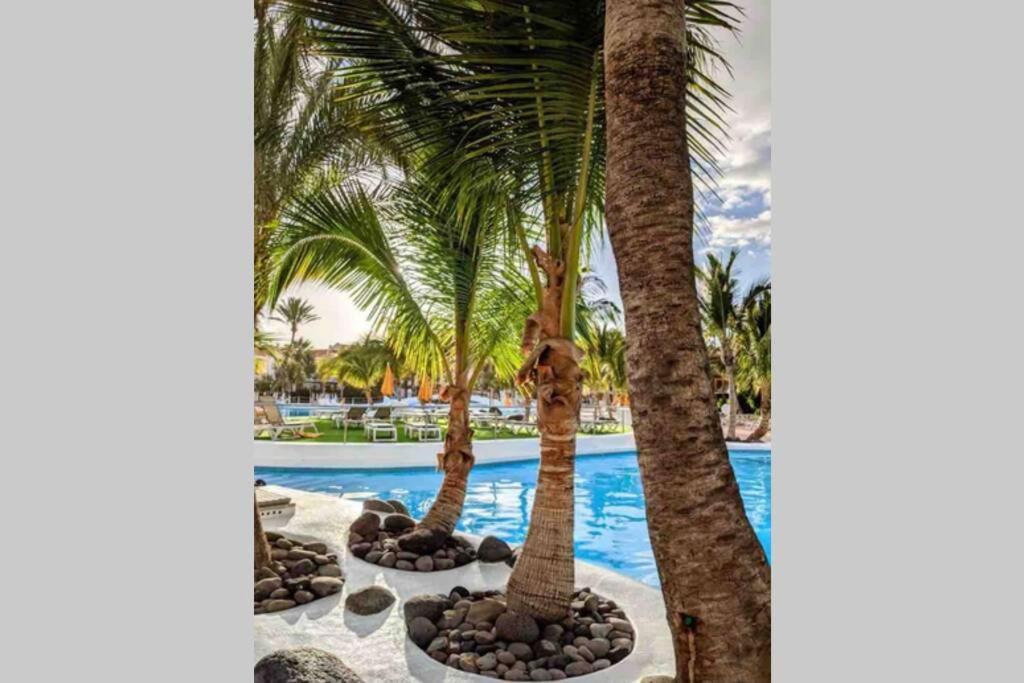 Apartamento Frente Al Mar! Apartment Playa de las Americas (Tenerife)