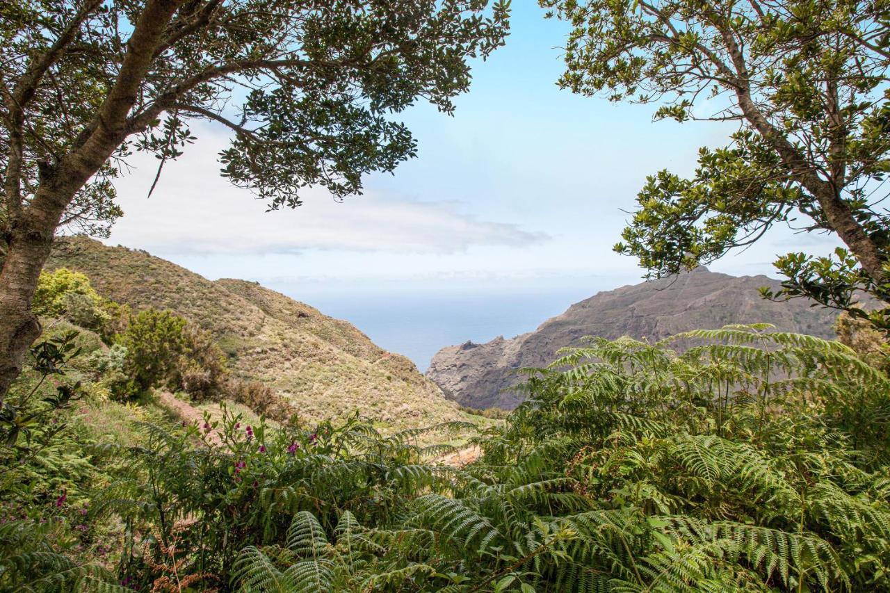 Casa Chinamada * La Laguna (Tenerife)