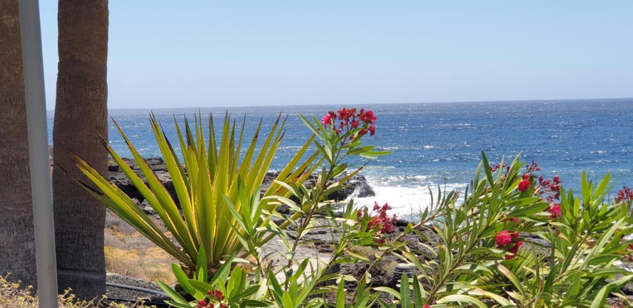 Appartement Cosy Well Located Tenerife Sur Golf