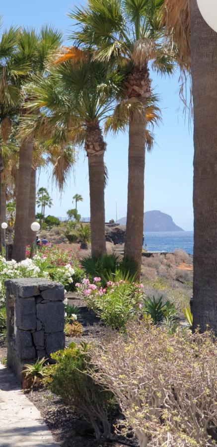 Cosy Well Located Tenerife Sur Golf