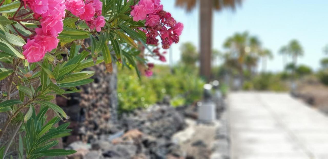 Cosy Well Located Tenerife Sur Golf * San Miguel de Abona
