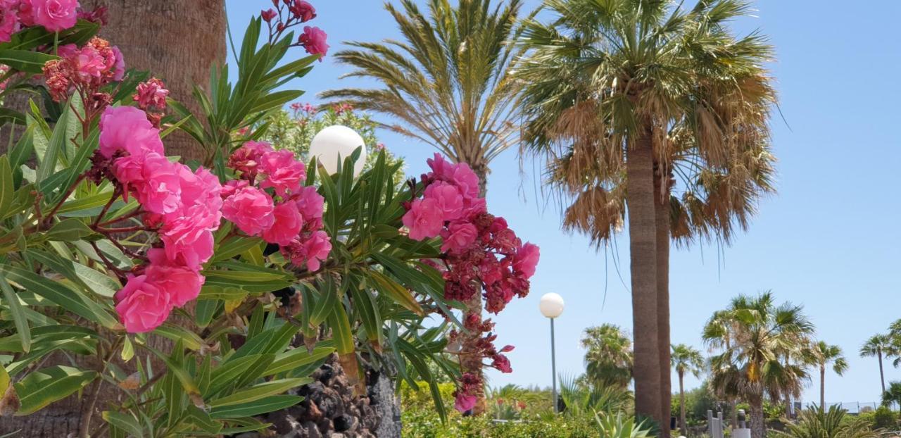 Cosy Well Located Tenerife Sur Golf Appartement *