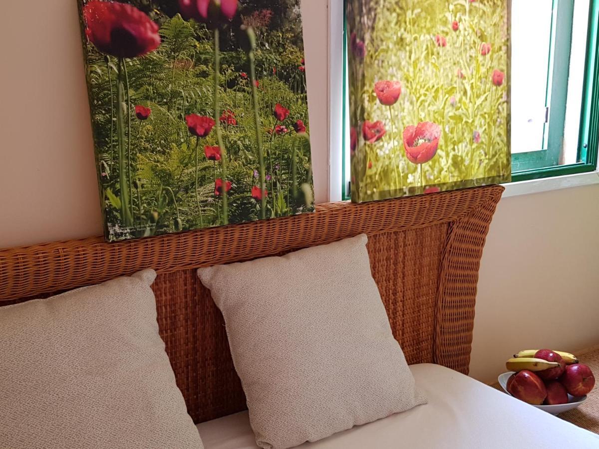 Guest House Los Pajaritos