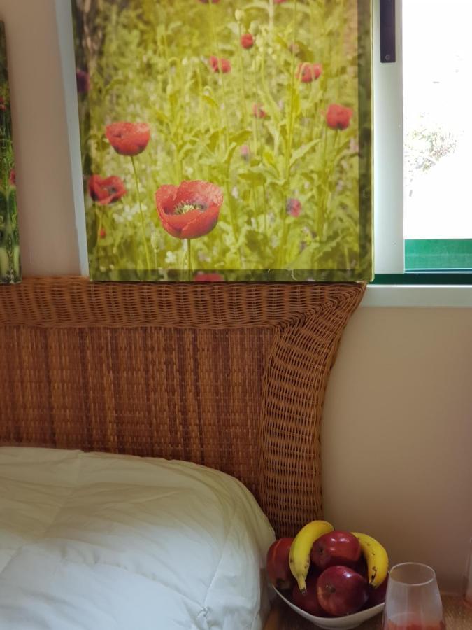 Guest House Los Pajaritos Maison d'hôtes Candelaria