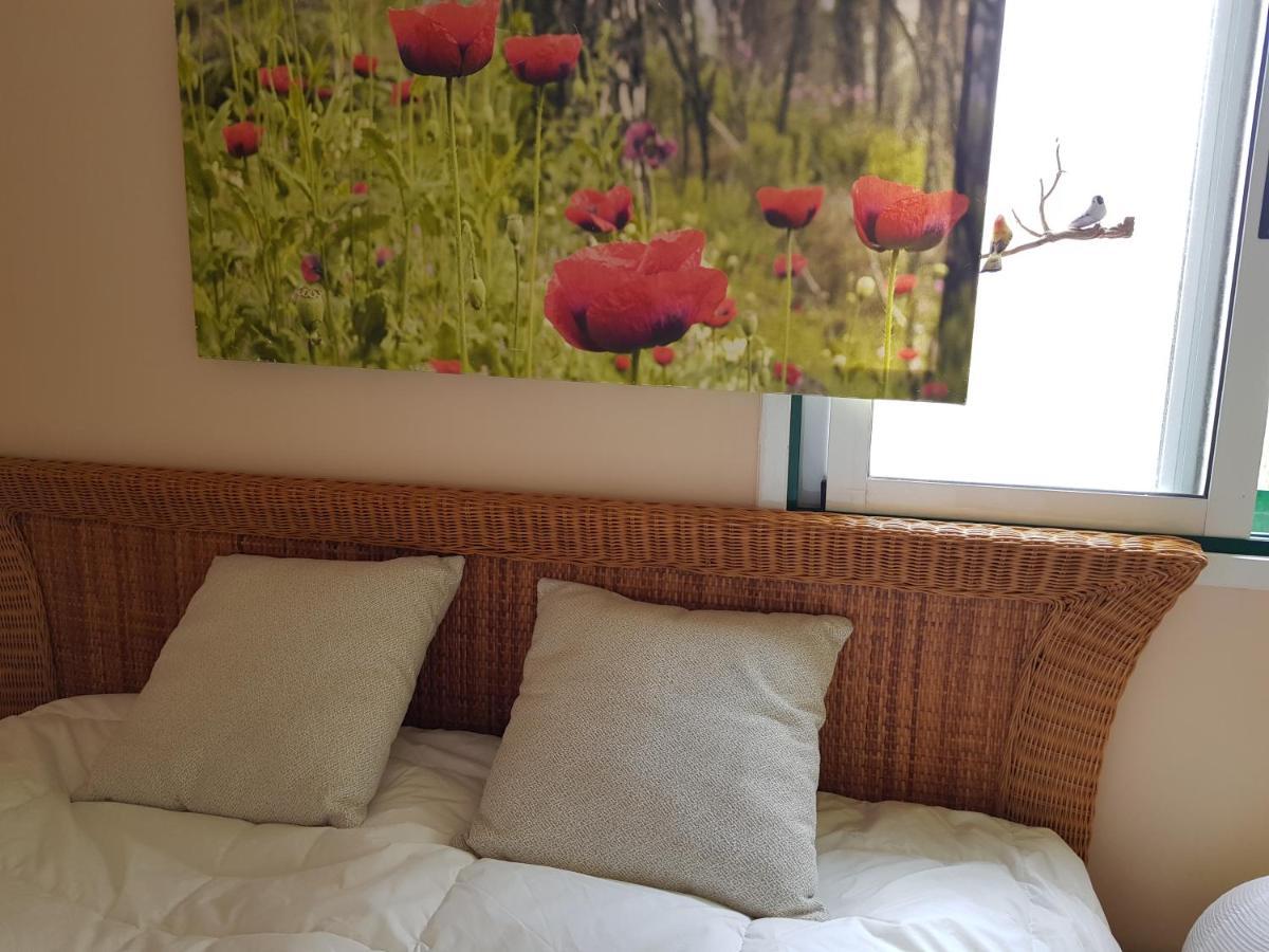 Guest House Los Pajaritos Maison d'hôtes