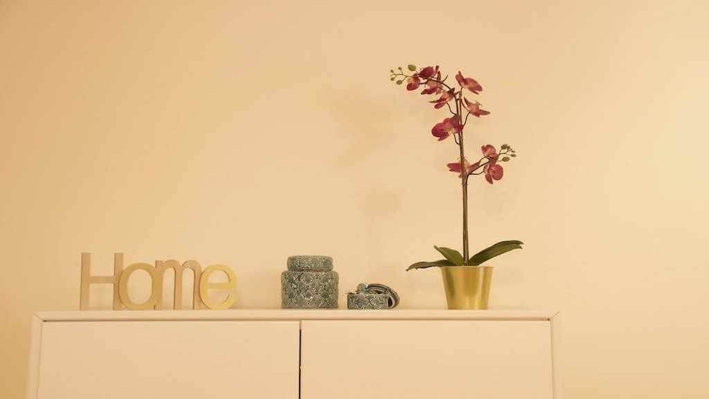 Con Jardin Y Piscina B Appartement *