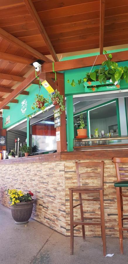 Olle Golf Tenerife Sur *