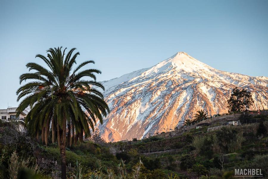 Tenerife Da Sogno Appartement San Miguel de Abona