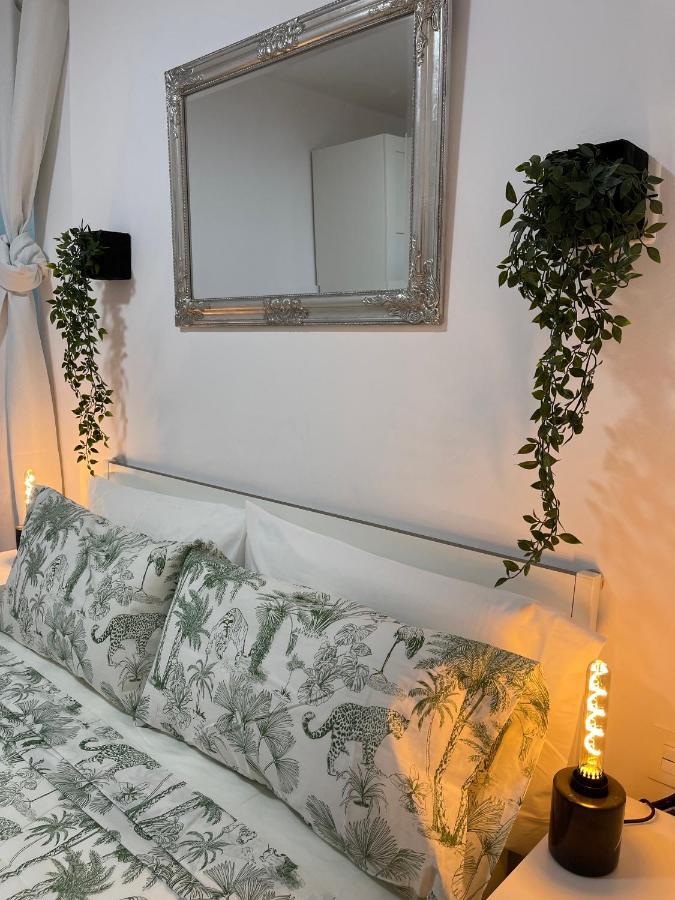 Apartamento Dream Recova Santa Cruz de Tenerife