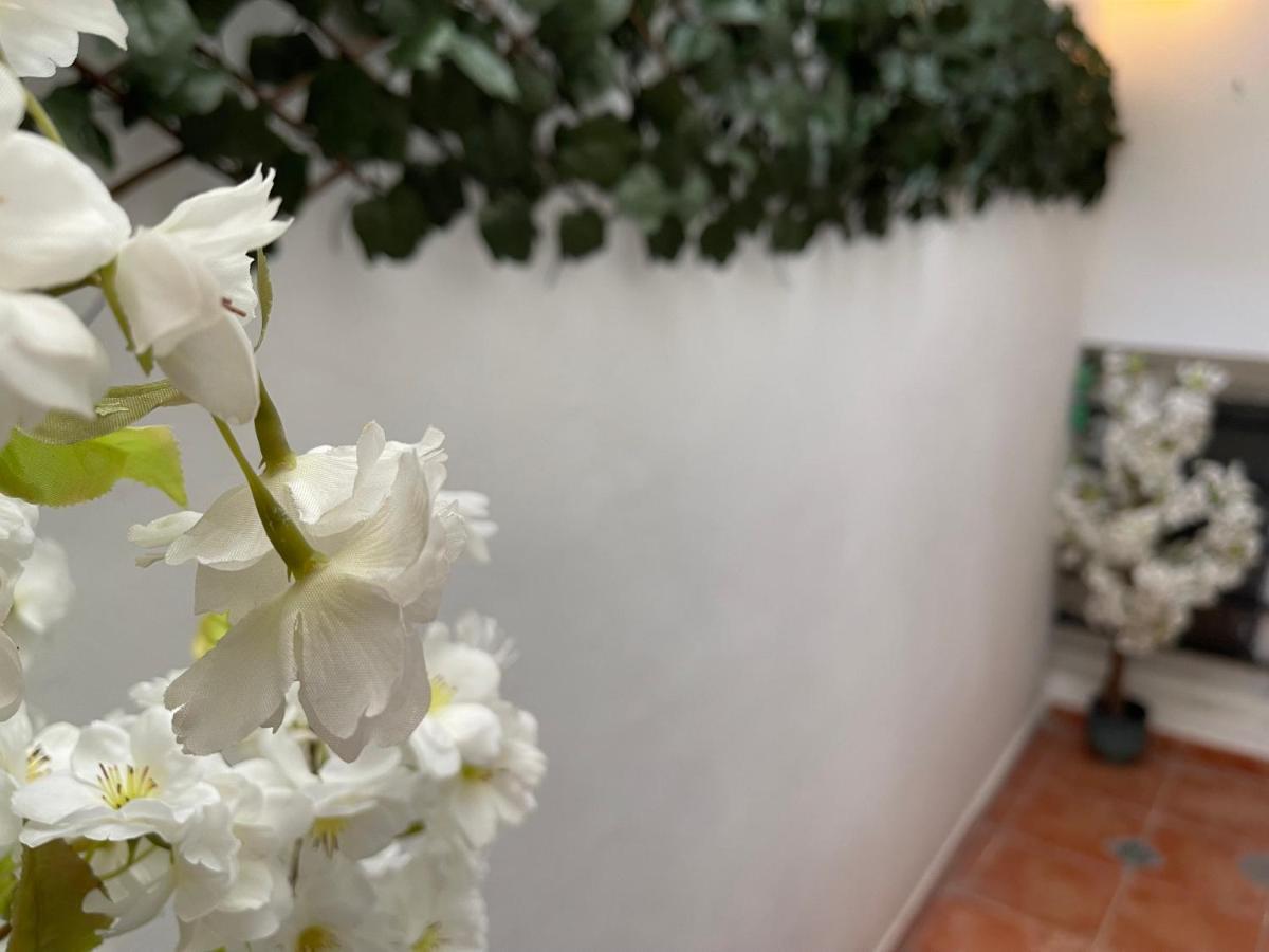 Dream Recova Apartamento *