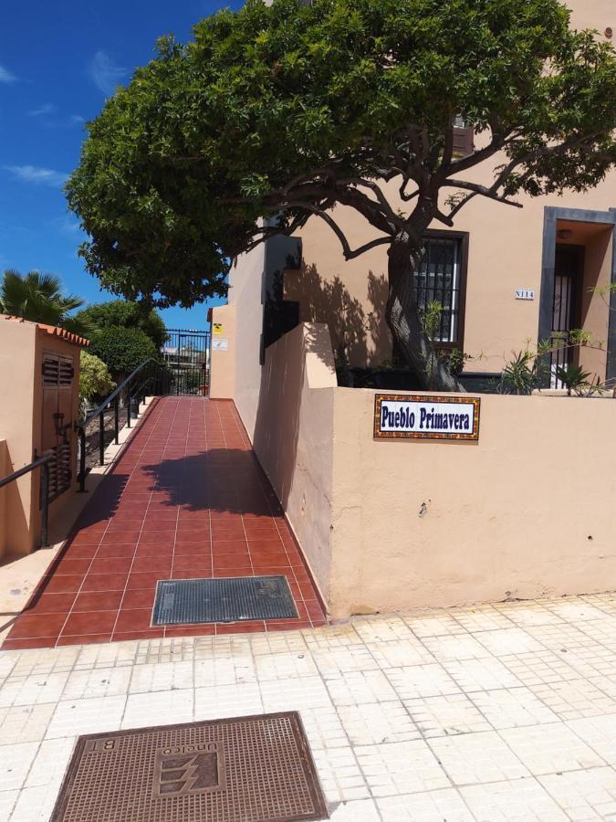 Tenerife Da Sogno * San Miguel de Abona
